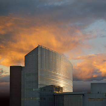 campus at sunset