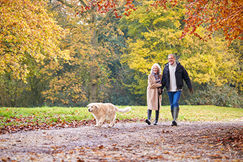 couple walking in a park in the fall with a dog